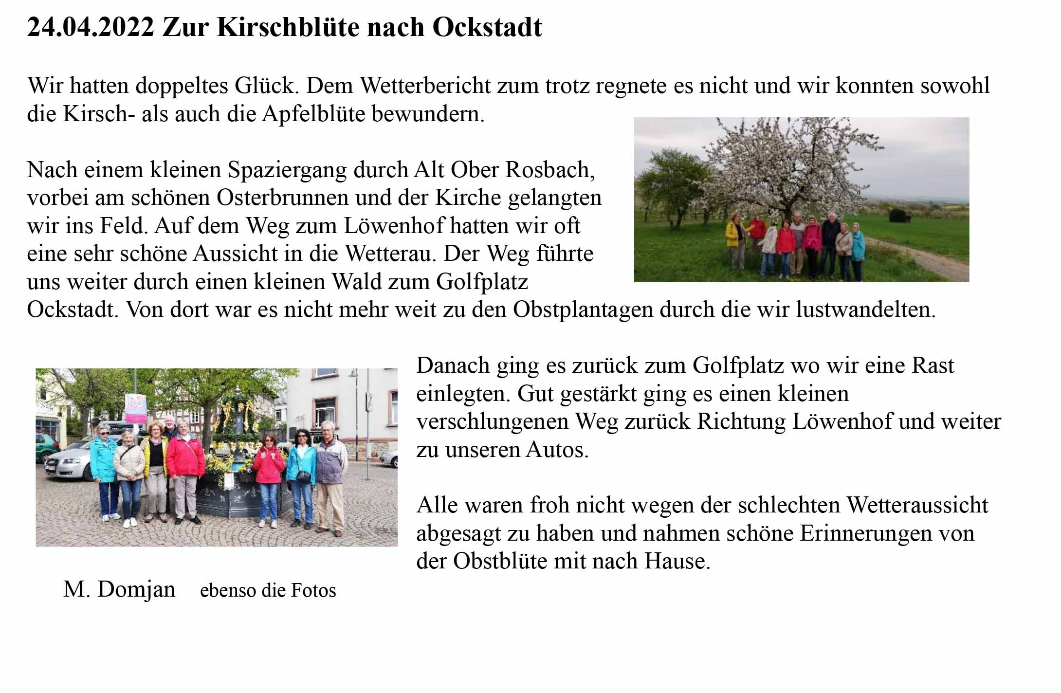 Kirschblüte Bericht