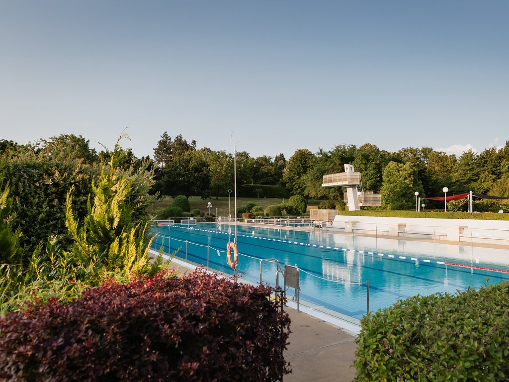 Blick auf das Schwimmerbecken mit Liegewiese und Bäumen dahinter