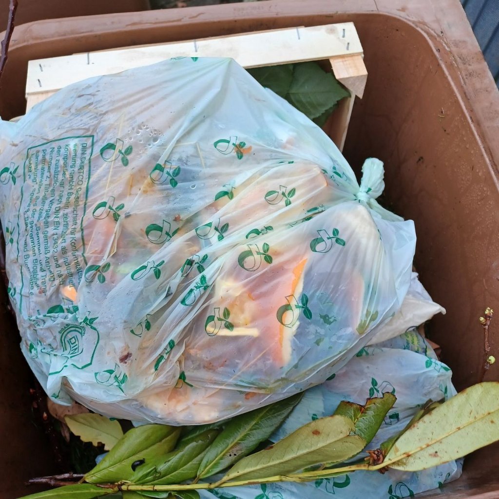 Auf dem Bild sind kompostierbare Plastiksäckel in der Biotonne zu sehen.