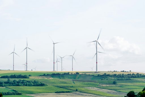 Windräder auf einem grünen Feld