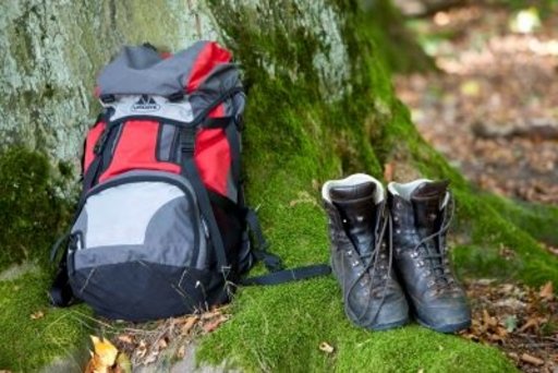 Wanderrucksack und -stiefel an einer Baumwurzel angelehnt