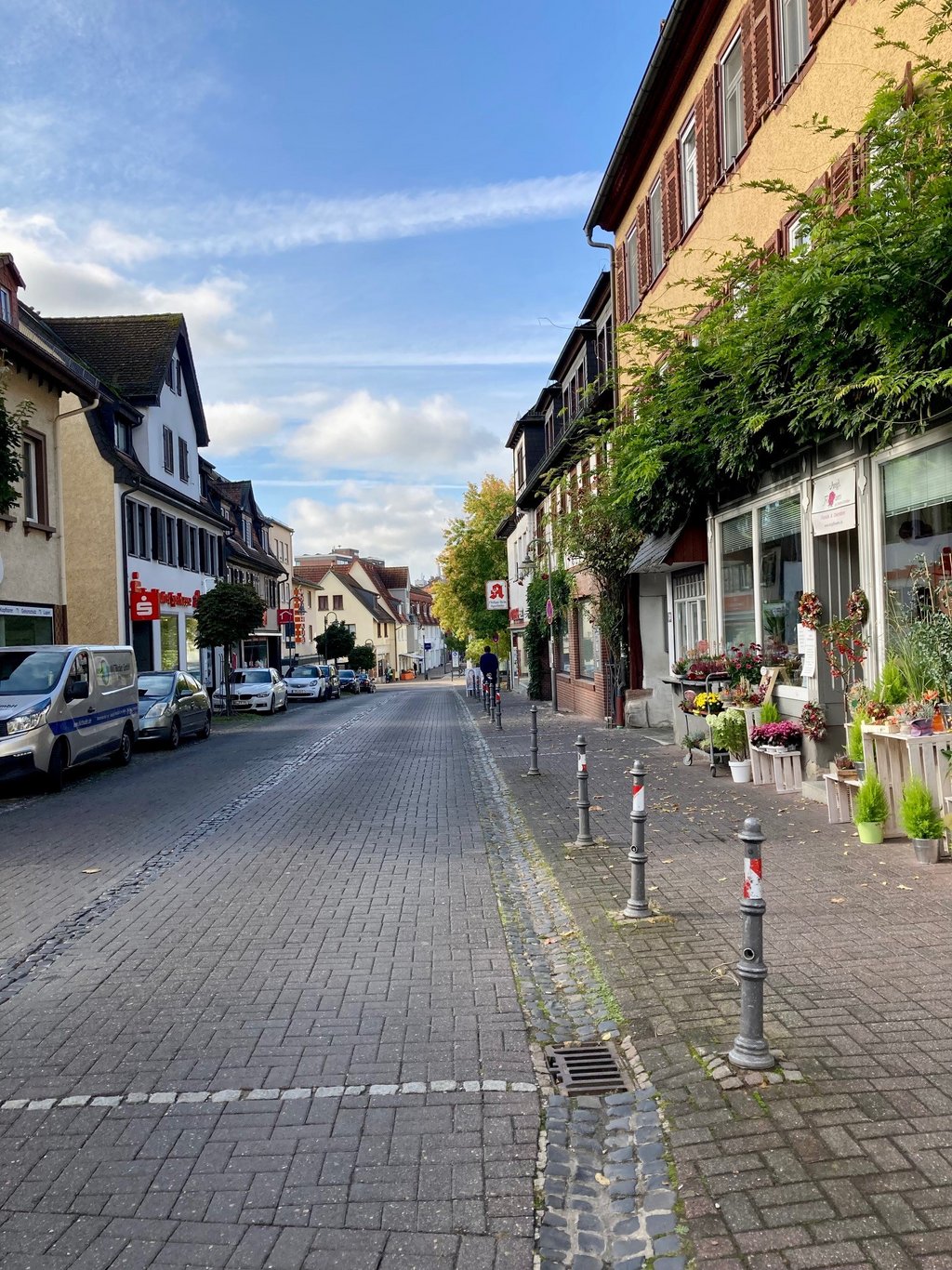 Auf dem Bild ist ein Ausschnitt der Hugenottenstraße mit einer gepflasterten Fahrbahn und historischen Wohn- und Geschäftshäusern zu sehen. Entlang der Straße befinden sich Geschäfte und auf der linken Seite abgestellte Autos. Vor einem Blumengeschäft auf der rechten Seite stehen Blumen und Pflanzen. Der Blick richtet sich in Richtung Landgrafenplatz.