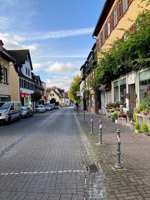 Auf dem Bild ist ein Ausschnitt der Hugenottenstraße mit einer gepflasterten Fahrbahn und historischen Wohn- und Geschäftshäusern zu sehen. Entlang der Straße befinden sich Geschäfte und auf der linken Seite abgestellte Autos. Vor einem Blumengeschäft auf der rechten Seite stehen Blumen und Pflanzen. Der Blick richtet sich in Richtung Landgrafenplatz.