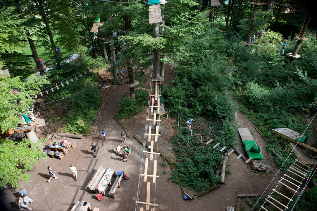 Auf der Darstellung ist ein Teil des Kletterwalds mit seinem Parcours aus der Vogelperspektive zu sehen.