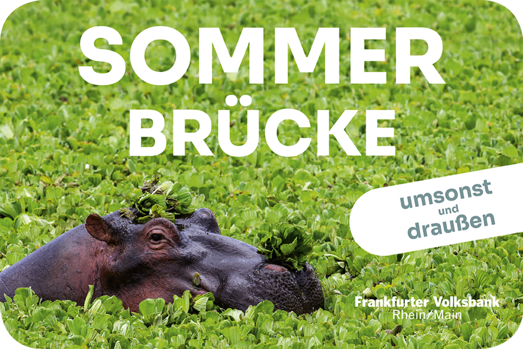 Titelbild, Nilpferd