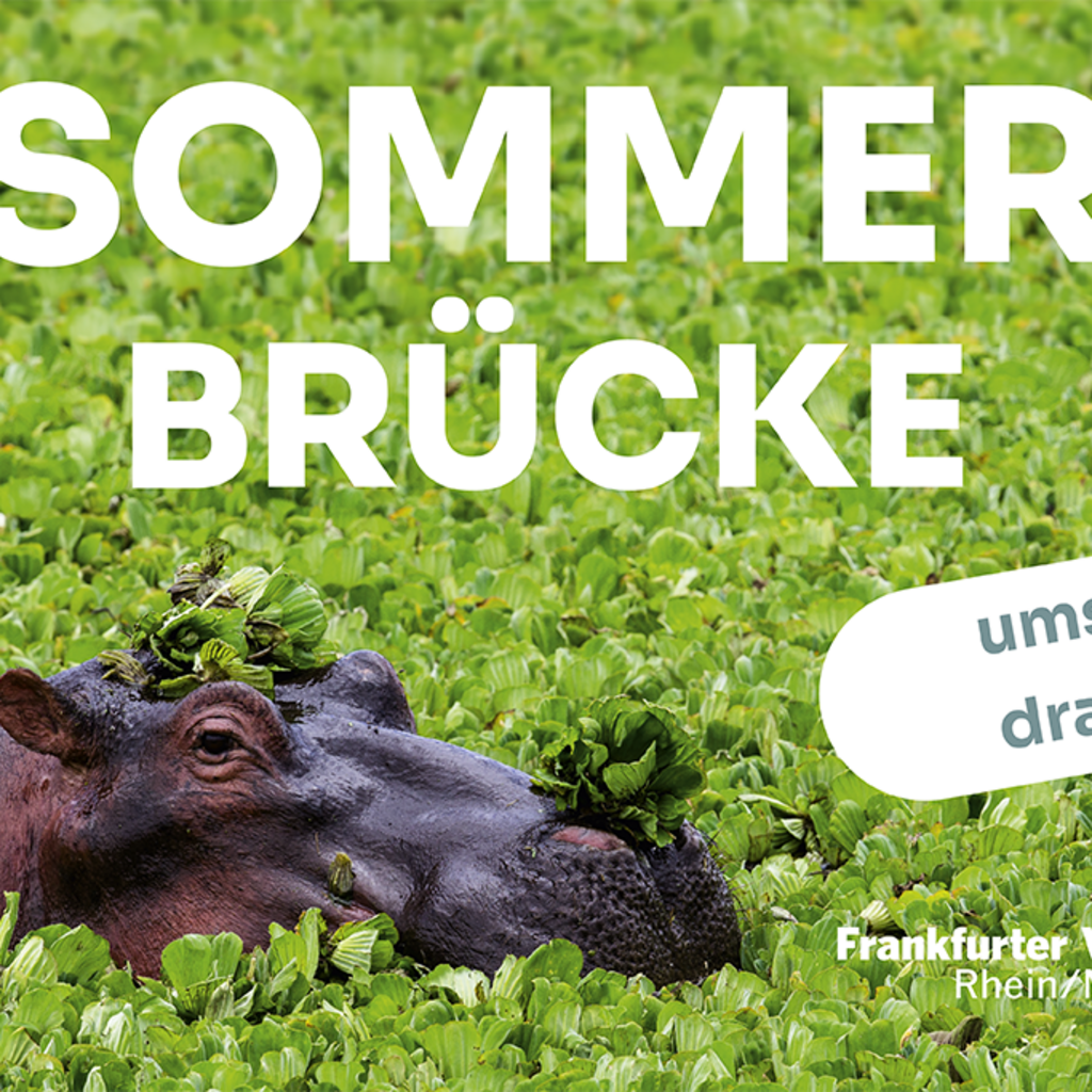 Titelbild, Nilpferd