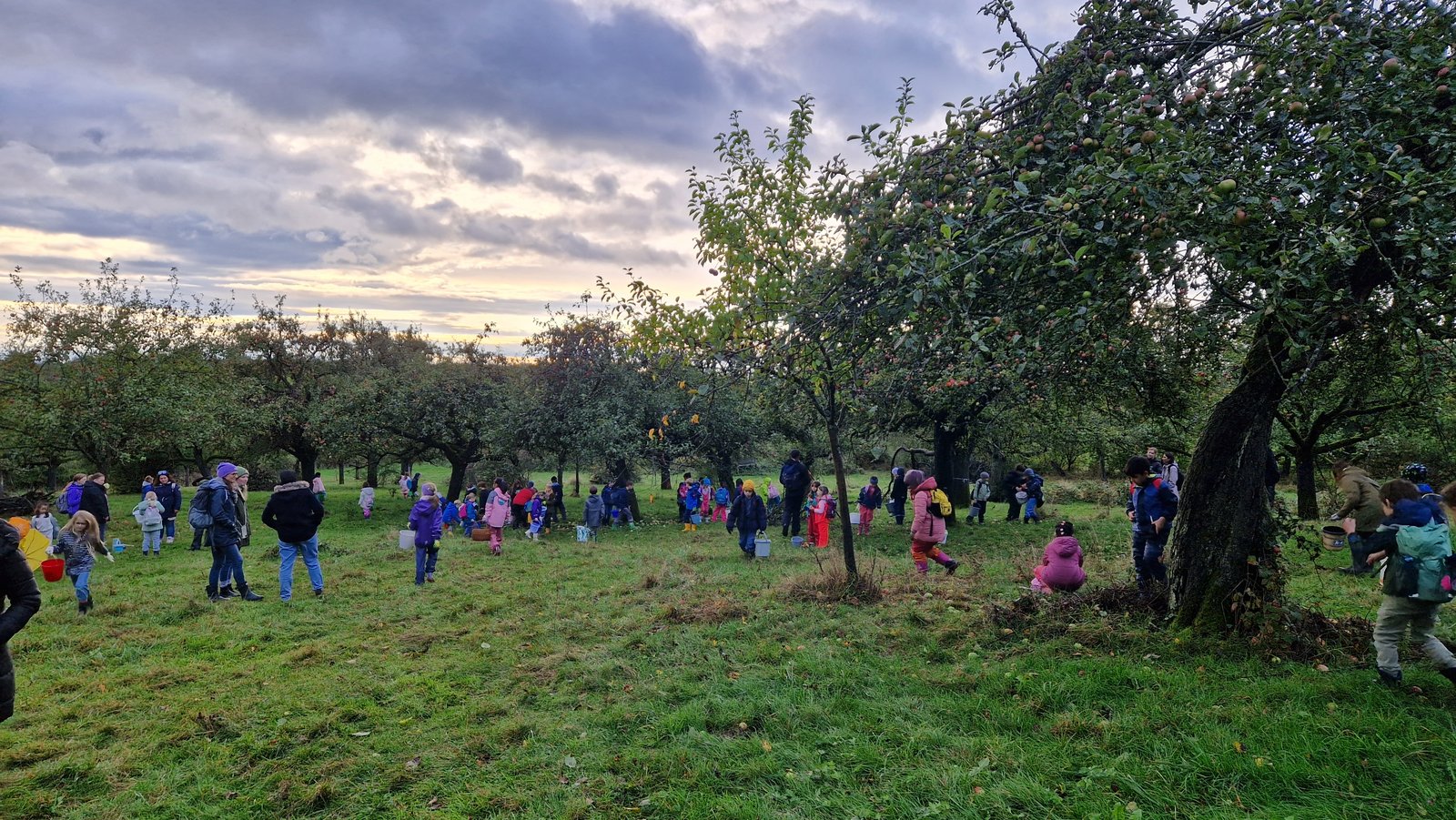 Auf der Darstellung sind Grundschulkinder beim Sammeln von Äpfeln zu sehen.