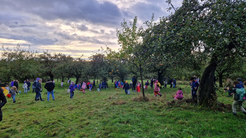 Auf der Darstellung sind Grundschulkinder beim Sammeln von Äpfeln zu sehen.